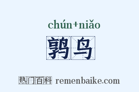 鹑鸟是什么意思的图片